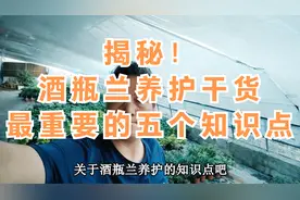 揭秘！酒瓶兰养护干货，最重要的五个知识点