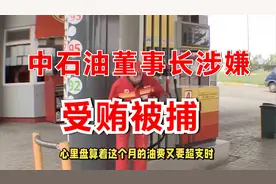 中石油董事长涉嫌受贿被捕：这些巨额利润到底养了多少“蛀虫”？