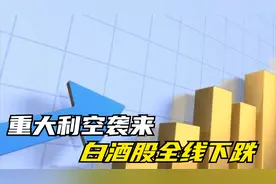 重大利空袭来，白酒股全线下跌，2025年是否还有机会？视频封面