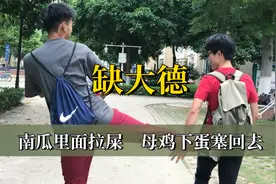 南瓜里面拉屎盖住继续长，母鸡下蛋塞回去，这届网友真是缺大德