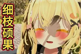 细枝结硕果