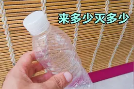 家里苍蝇多别急，5个塑料瓶就搞定，来多少灭多少，方法太棒了