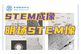 TEM测试（透射电镜）基础知识——明场STEM像视频封面