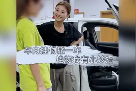 车内挂物小妙招，又省了好几百的精洗钱！视频封面