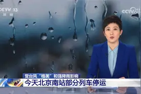 受台风“格美”和强降雨影响 今天北京南站部分列车停运