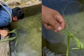 山里的这种泉水清澈无比，但使用过后一定要留下些东西视频封面