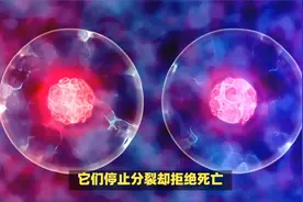 人类首次发现逆转衰老的“总开关”！科学家揭秘细胞返老还童密码视频封面