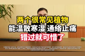 两个很常见植物，能温散寒湿、通络止痛，错过就可惜了