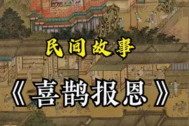 民间奇案故事：《喜鹊报恩》视频封面