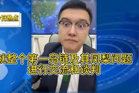 第一岛链及凤梨问题的交流谈判解析视频封面