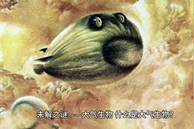 未解之谜——大气生物视频封面