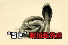 印度眼镜蛇泛滥成灾，政府发布悬赏令后，当地眼镜蛇数量不减反增视频封面