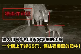 猎人用PCP气枪和热成像仪消灭农场里的土狼