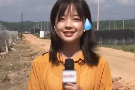 贷款上班王冰冰 #搞笑 #哈哈哈哈哈哈我要笑死了视频封面