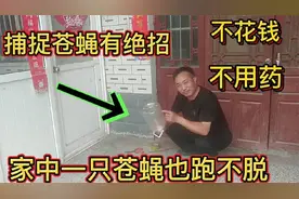 家里苍蝇多不用怕，只需一个空壶把上部剪下，再多苍蝇全捉光