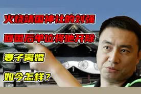 火烧靖国神社的刘强，回国后单位将他开除，妻子离婚，如今怎样？视频封面