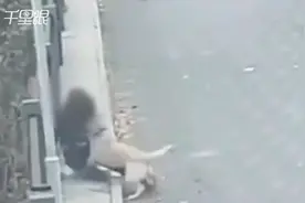 女子蹲在路边突然被大狗撕咬 全身被咬了21处伤口