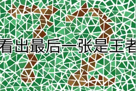 驾考色弱色盲模拟测试图大全