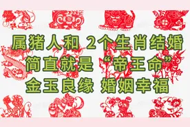 属猪人和 2个生肖结婚，简直就是“帝王命”，金玉良缘，婚姻幸福视频封面