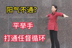 双手平举，打通小周天，通任督，升一身阳气！