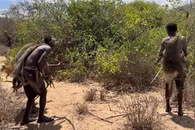 哈扎比人狩猎——与非洲最无畏的哈扎比部落一起狩猎野生狒狒！视频封面