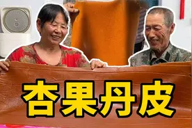 家里的杏吃不了千万别扔，教你用杏做果丹皮，好吃还好储存