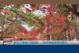 昆明公交新开25条畅行游线路 助市民畅享缤纷夏日视频封面
