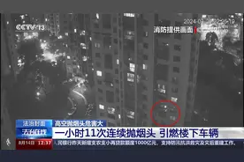1小时11次连续向楼下抛烟头引燃楼下车辆 这些情形下 刑罚升格！视频封面