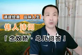 土豆烧熟了，再加牛肉，不须放屁，伟人诗词之《念奴娇鸟儿问答》视频封面