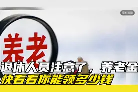 退休人员注意了，养老金计算公式来了，快看看你能领多少钱视频封面