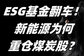 ESG基金崩盘，绿马甲下穿秋裤？视频封面