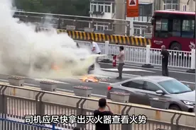 新能源汽车自燃统计排行榜发布，榜首不是特斯拉，有你的车型吗？视频封面