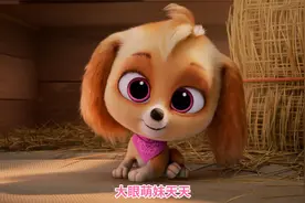 汪汪队立大功：大眼萌妹天天视频封面