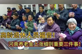 高龄退休人员福音！河南养老金上涨细则你必须知道的三件事视频封面