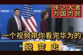 “侠之大者，为国为民”，一口气看完华为蜕变史！视频封面