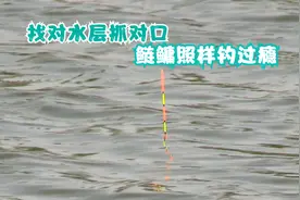 以为钓鲢鳙很简单？其实有很多技巧，这样找水层和抓口才能钓过瘾