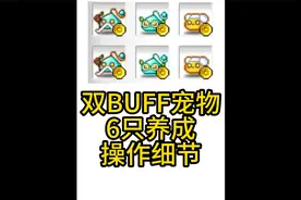 冒险岛 双BUFF宠物养成攻略全程，不会的看下