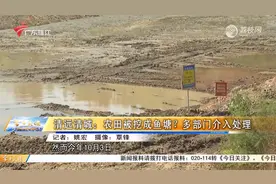 清远清城：农田被挖成鱼塘？多部门介入处理视频封面