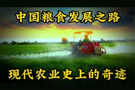 为了解决14亿人的吃饭问题，中国粮食如何做到稳如泰山，固若金汤视频封面