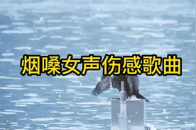 让人心碎的十首触及灵魂的烟嗓女声伤感歌曲，大家一起欣赏吧
