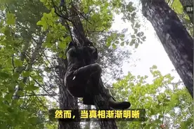 河南一女子树林上吊身亡后续：警方回应，原因曝出，果然不一般视频封面