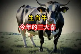 生肖牛今年的三大喜，一起了解下啊~视频封面