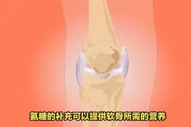 解读氨糖软骨素的功效，明确其对关节软骨养护的积极作用