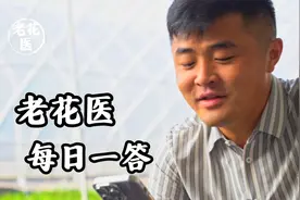 鹤望兰干叶怎么办？佳澄应该怎么去剪？视频封面