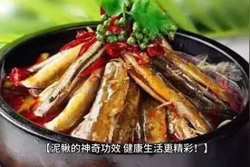 泥鳅的神奇功效，健康生活更精彩！】