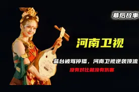 蓝台被骂停播，河南卫视从垫底逆袭成顶流，没有对比就没有伤害视频封面