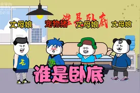 谁是卧底游戏，卧底词和平民词，反差太大了