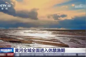 黄河全域全面进入休禁渔期视频封面