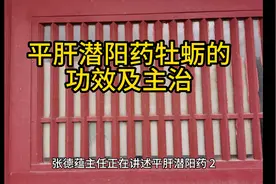 牡蛎的功效及主治)
