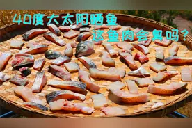 夏天把鱼肉放到太阳底下晒，做好就是大硬菜，不得不说高手在民间